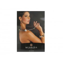 Espositore da Vetrina 30x21 cm (7)